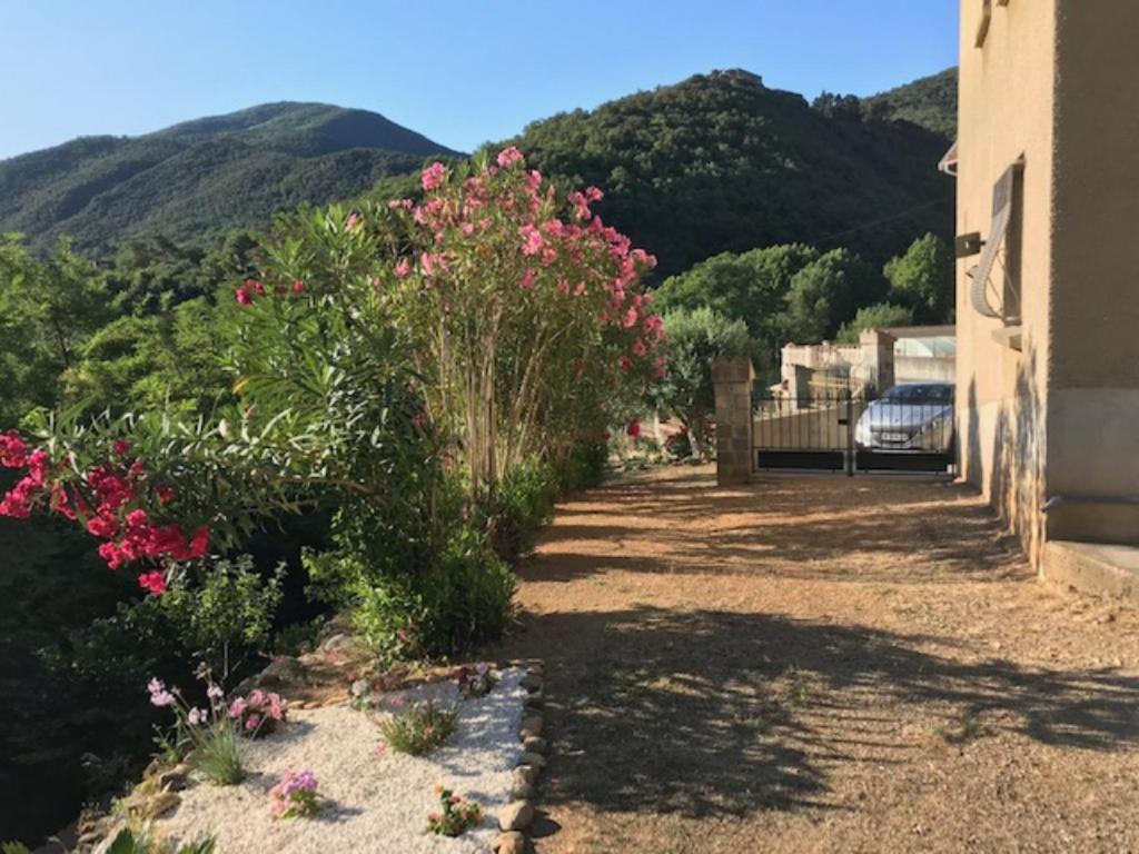 Bel Appartement Type F3 Amélie-les-Bains-Palalda المظهر الخارجي الصورة